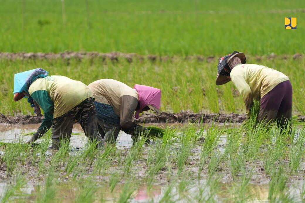 kementerian pu akselerasi penyelesaian 15 bendungan untuk perkuat kedaulatan pangan nasional kementerian pu akselerasi penyelesaian 15 bendungan untuk perkuat kedaulatan pangan nasional