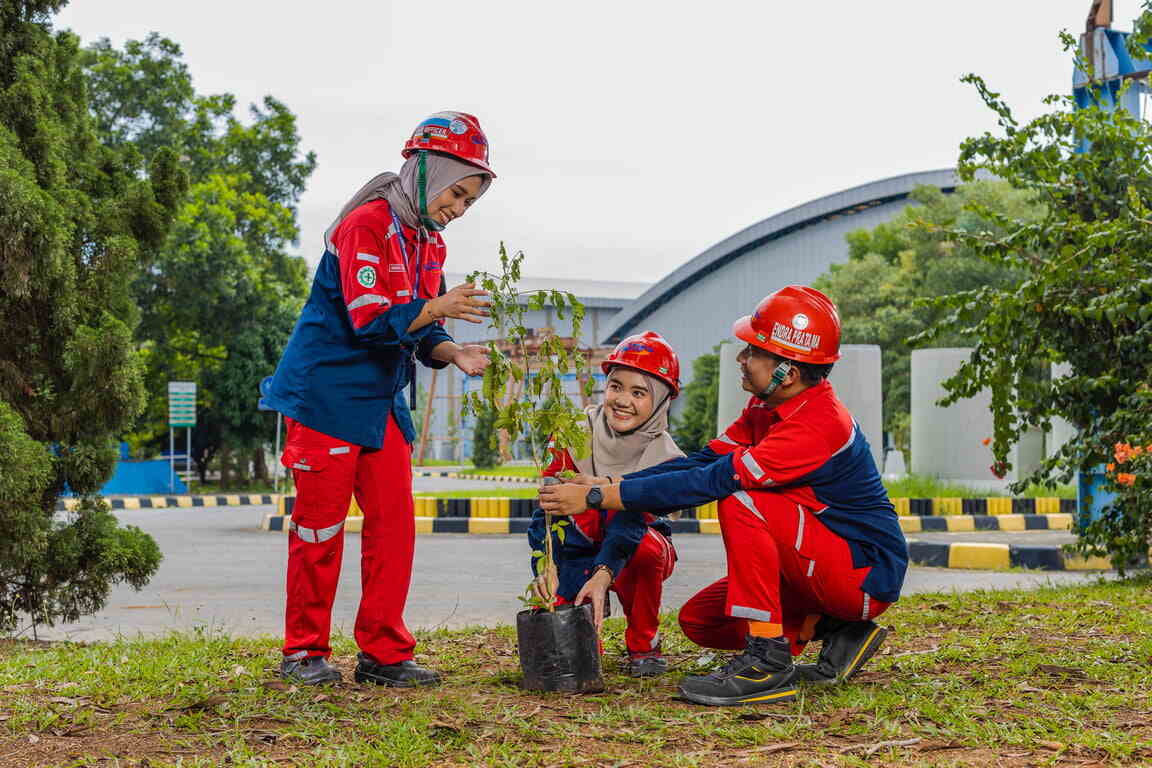 wsbp tanam 566 pohon trembesi melalui program piles of sustainability oktober