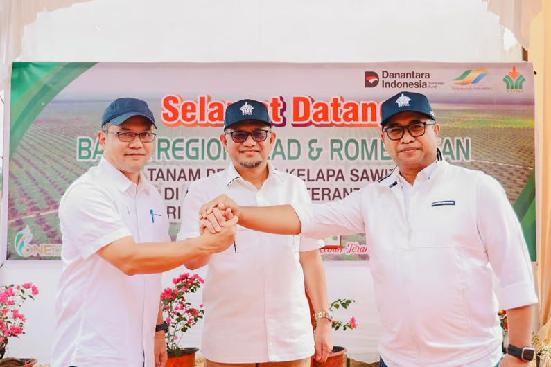 holding perkebunan nusantara dukung keberlanjutan, ptpn iv regional iii remajakan 949,6 hektare sawit renta