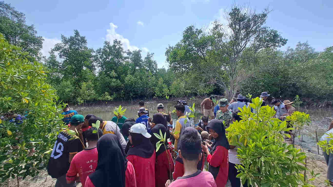 hutan dunia di titik kritis usai cop30