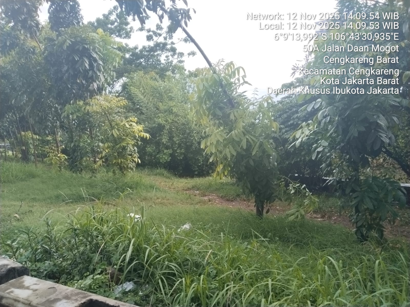 img 20251112 wa0091 img 20251112 wa0091