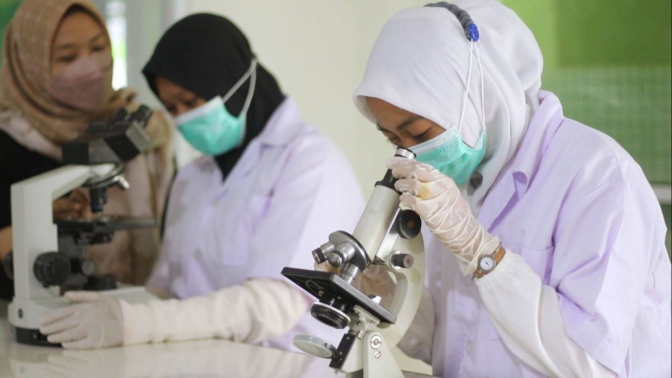 img 20251121 wa0058 img 20251121 wa0058