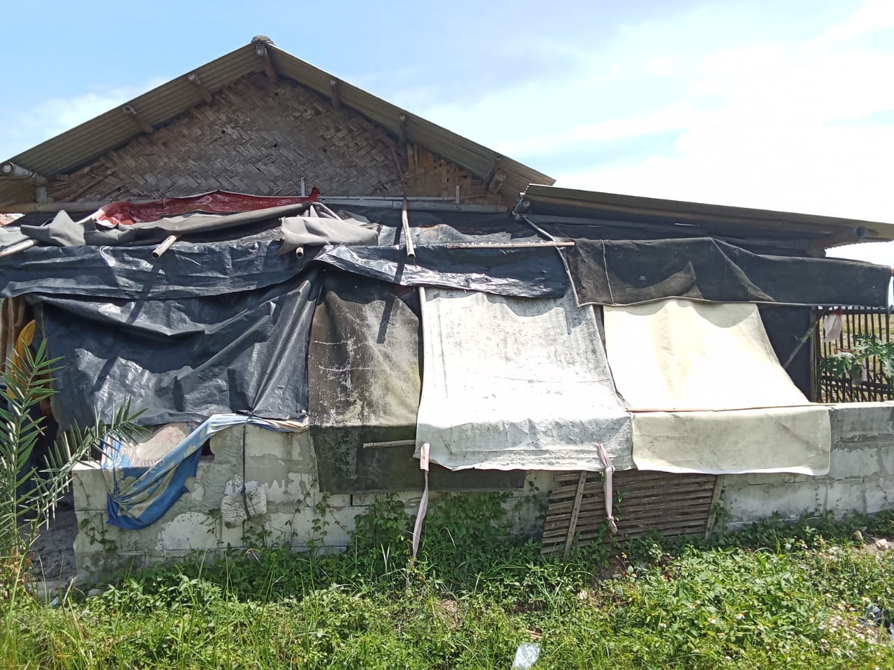 img 20251128 wa0091 img 20251128 wa0091