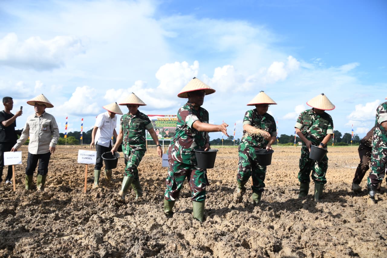 img 20251130 wa0029 img 20251130 wa0029