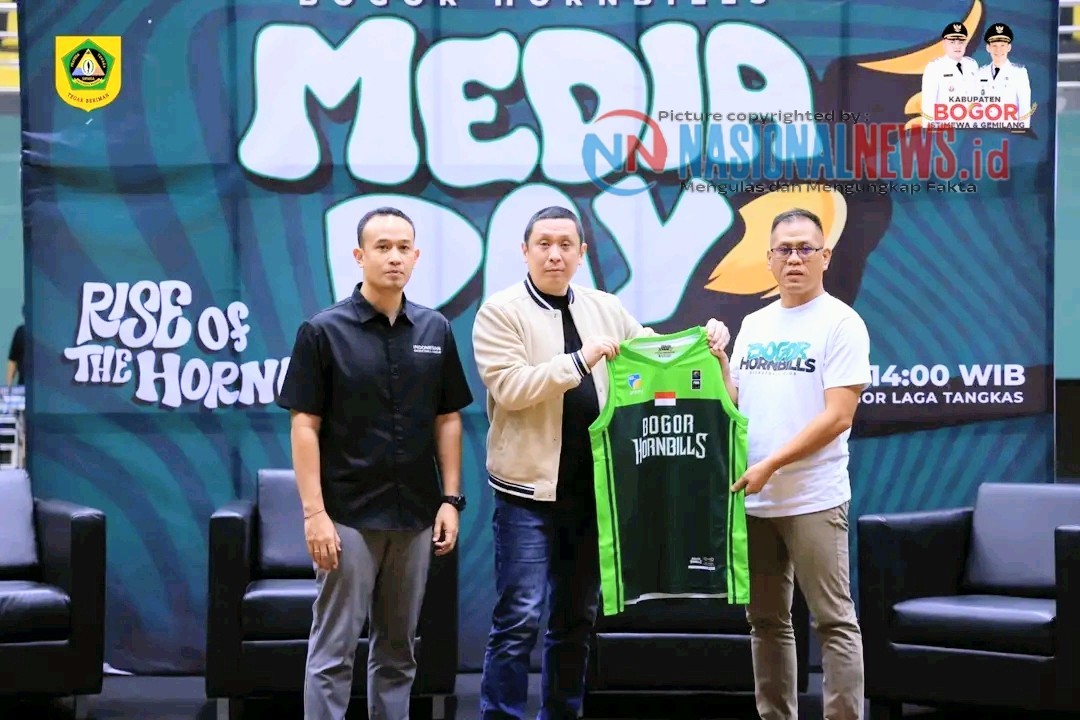 img 20251108 024225 img 20251108 024225