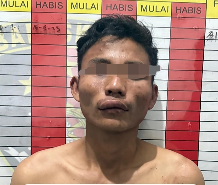 img 20251111 120048 img 20251111 120048