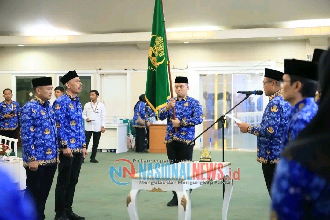 img 20251119 155450 img 20251119 155450