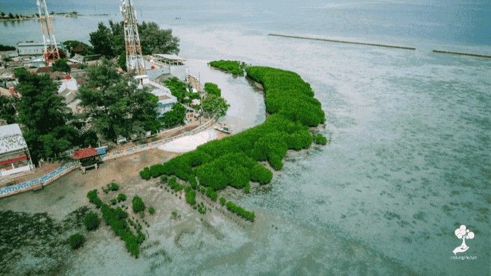 pulau pramuka
