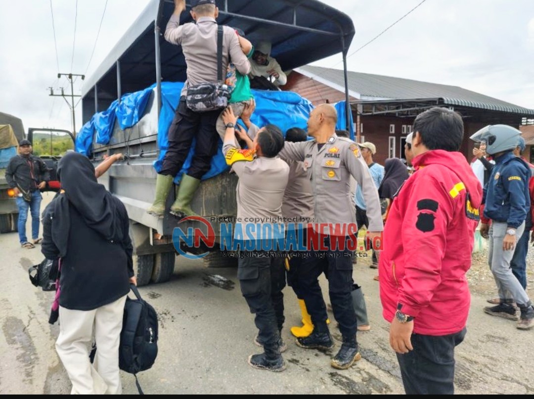 img 20251208 173208 img 20251208 173208