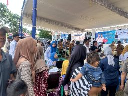 img 202512352 174003533 copy 640x480 copy 256x192