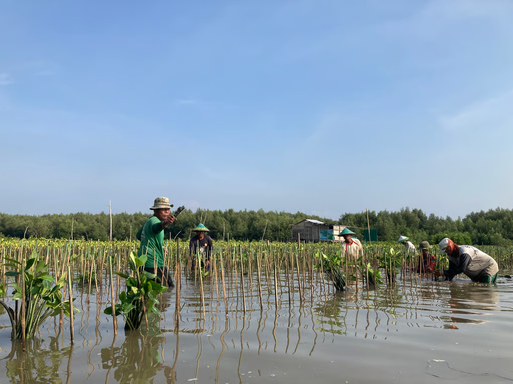 rayakan hari menanam pohon indonesia
