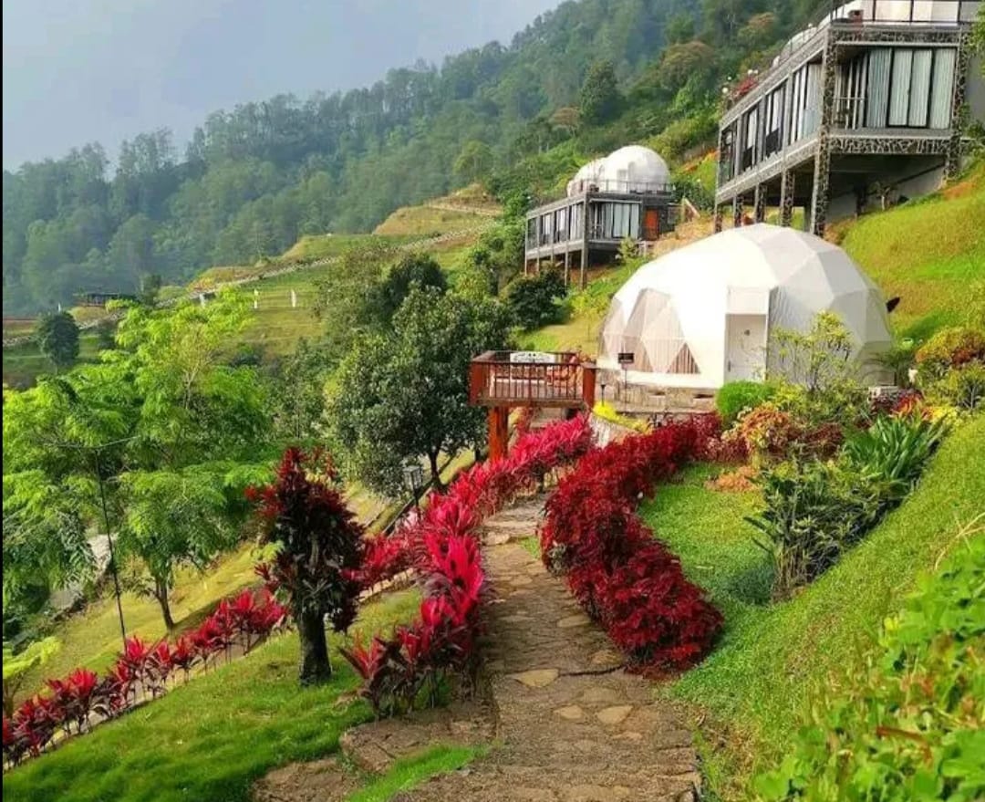 aed40bb5 b8f9 4beb a6d2 34e4626b2360