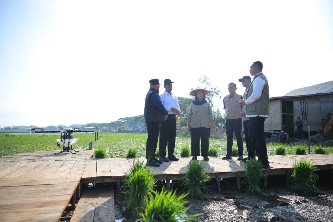 img 20260116 wa0481 img 20260116 wa0481