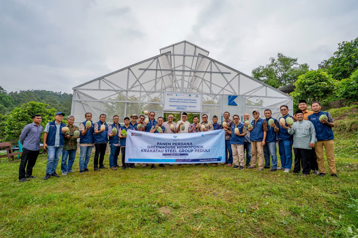 panen perdana greenhouse hidroponik, krakatau steel perkuat pendidikan pertanian modern dan ketahanan pangan pesantren