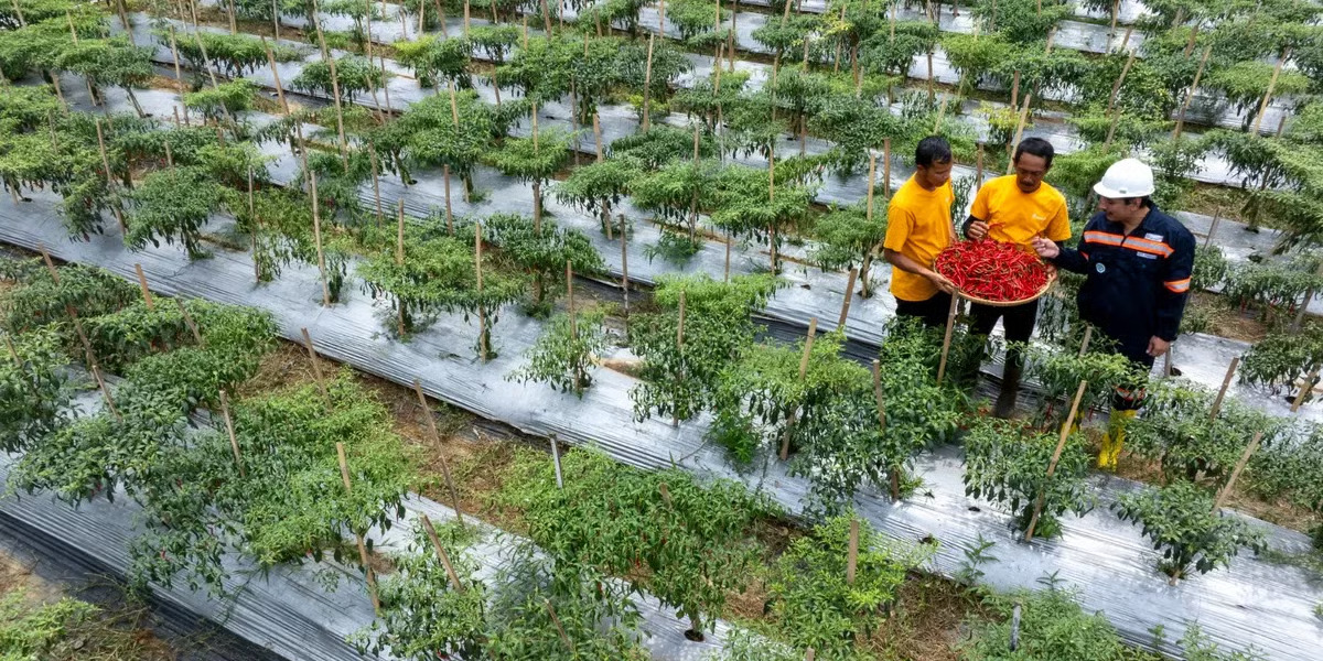 ketika mantan peti bersama sama membangun pongkor