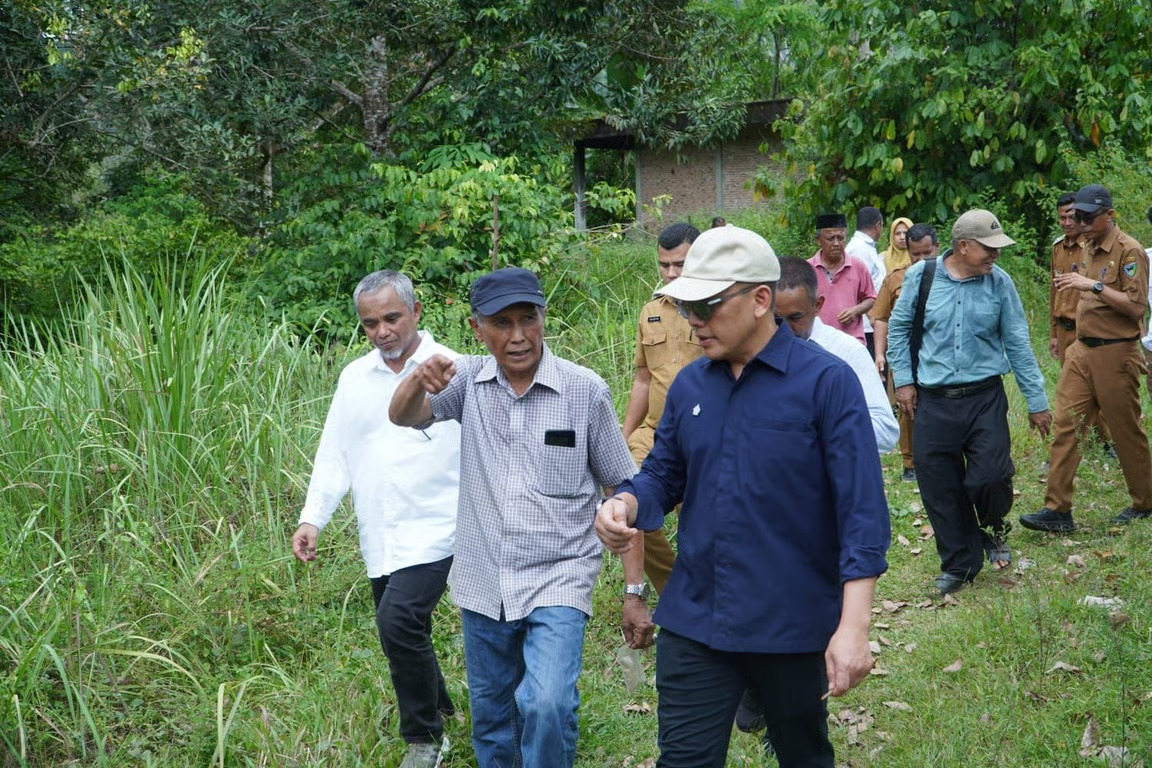 didorong kementan, holding perkebunan nusantara percepat hilirisasi gambir nasional