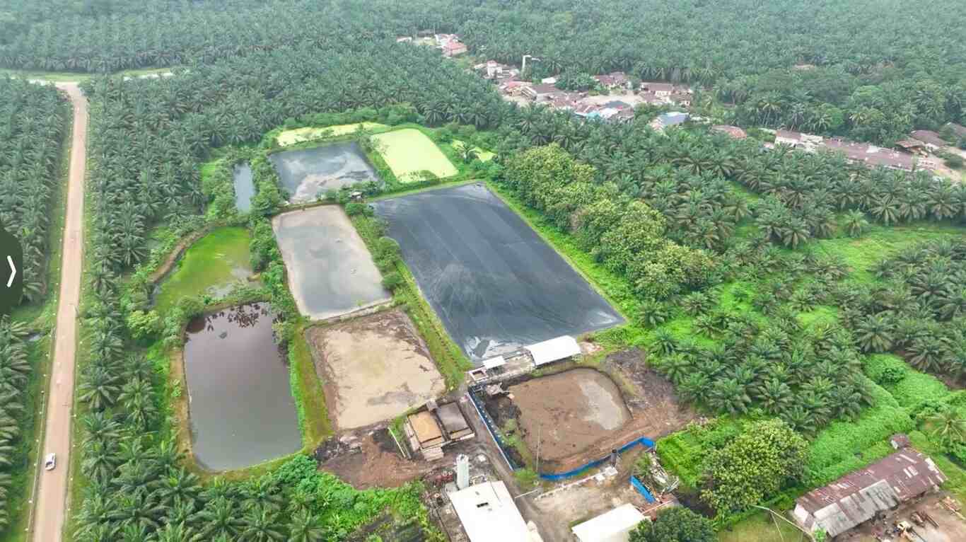 hadapi gejolak energi global, holding perkebunan nusantara andalkan pltbg palmco