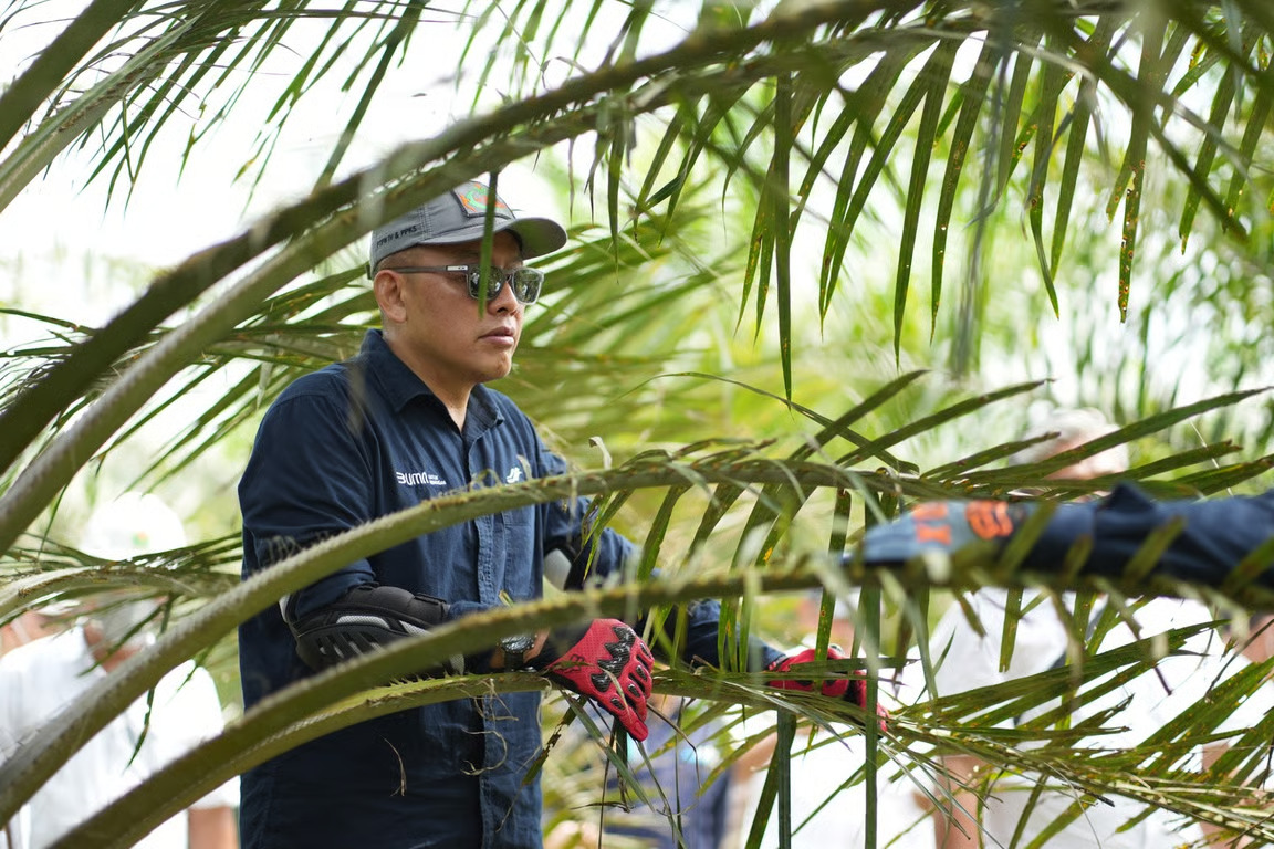 holding perkebunan nusantara siaga hadapi kemarau, palmco perkuat deteksi dini karhutla dan strategi agronomi