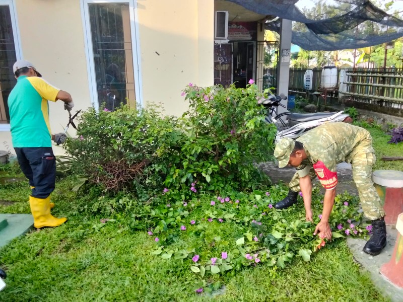 img 20260417 wa0000 copy 800x600