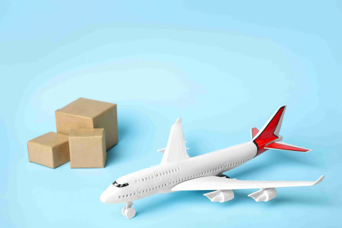 pilih express atau economy trik tepat waktu saat kirim paket ke luar negeri (1)