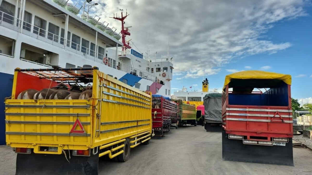 pelindo parepare siagakan layanan pelabuhan jelang iduladha 2026