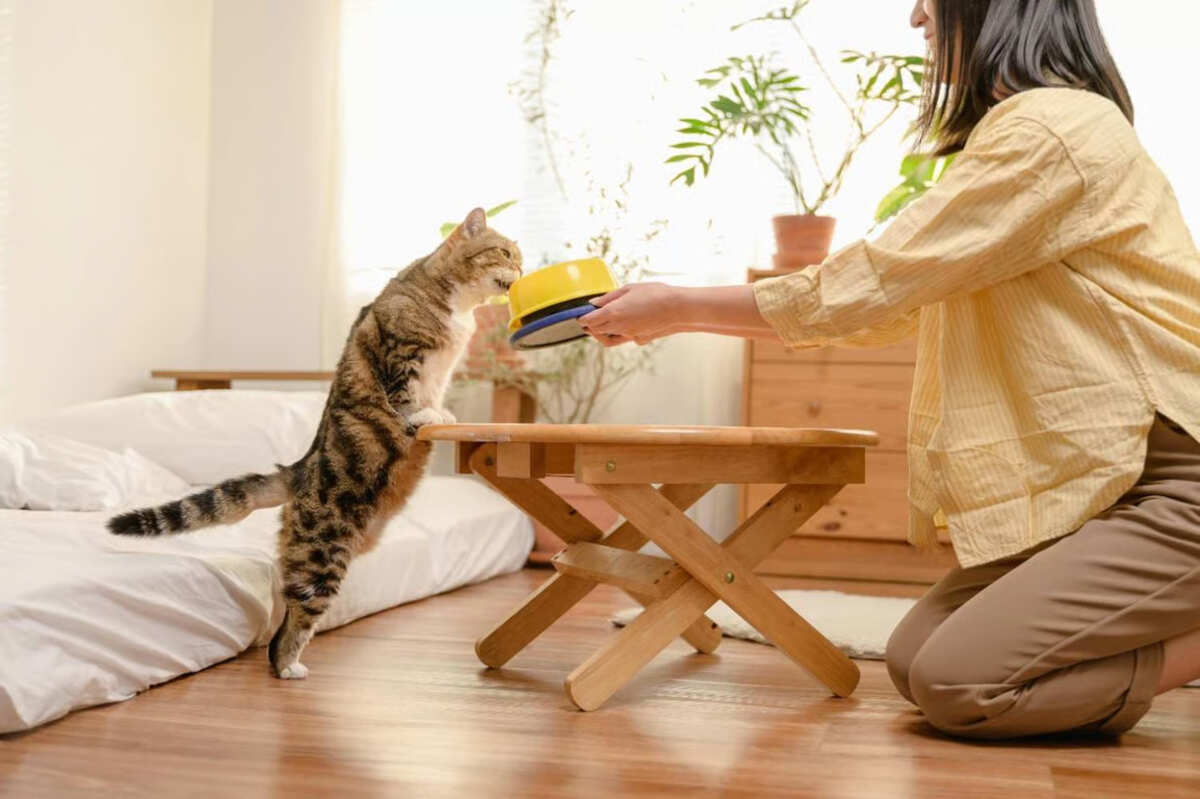 unicharm pet indonesia