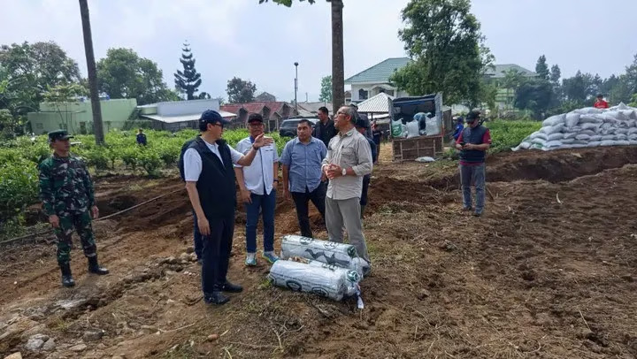 holding perkebunan nusantara kembangkan kawasan bawang putih berbasis konservasi di jawa barat