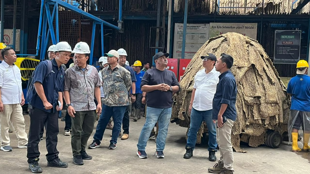 holding perkebunan nusantara perkuat produktivitas karet, ptpn i fokus benahi kebun padang pelawi