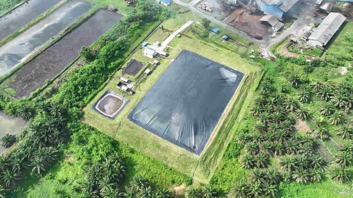 holding perkebunan nusantara perkuat transisi energi bersih melalui perdagangan karbon ptpn iv palmco