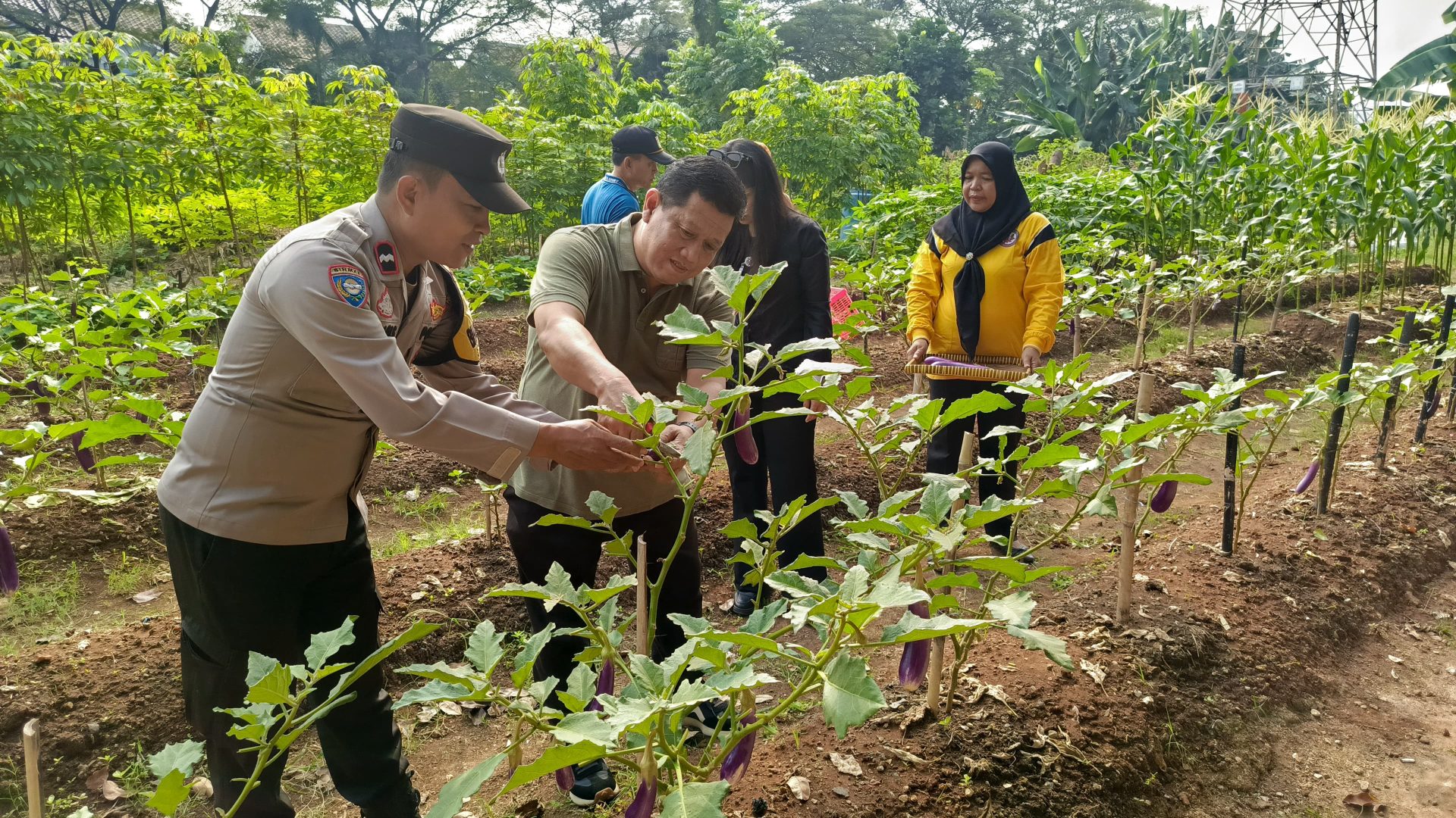img 20260612 wa0144