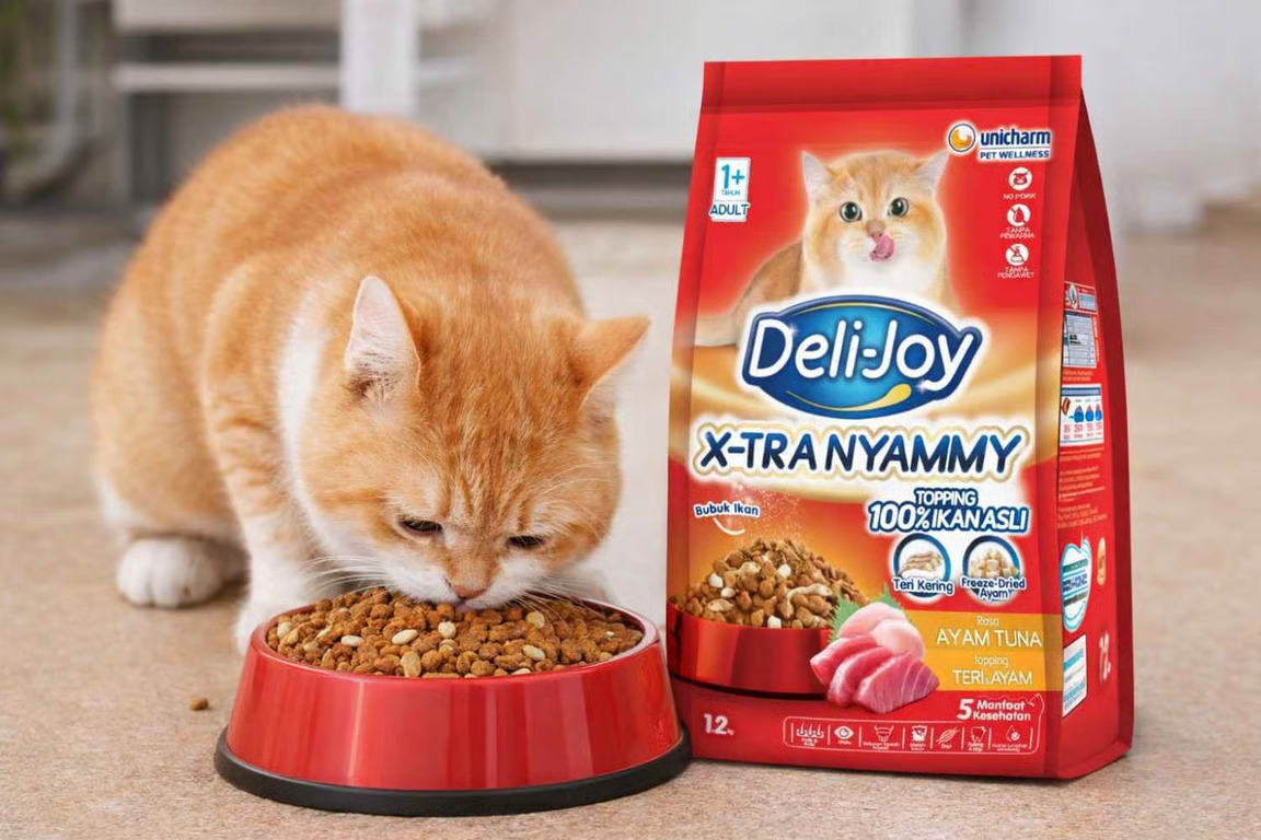 jangan asal pilih! ini rekomendasi dry food kucing bernutrisi tinggi jangan asal pilih! ini rekomendasi dry food kucing bernutrisi tinggi