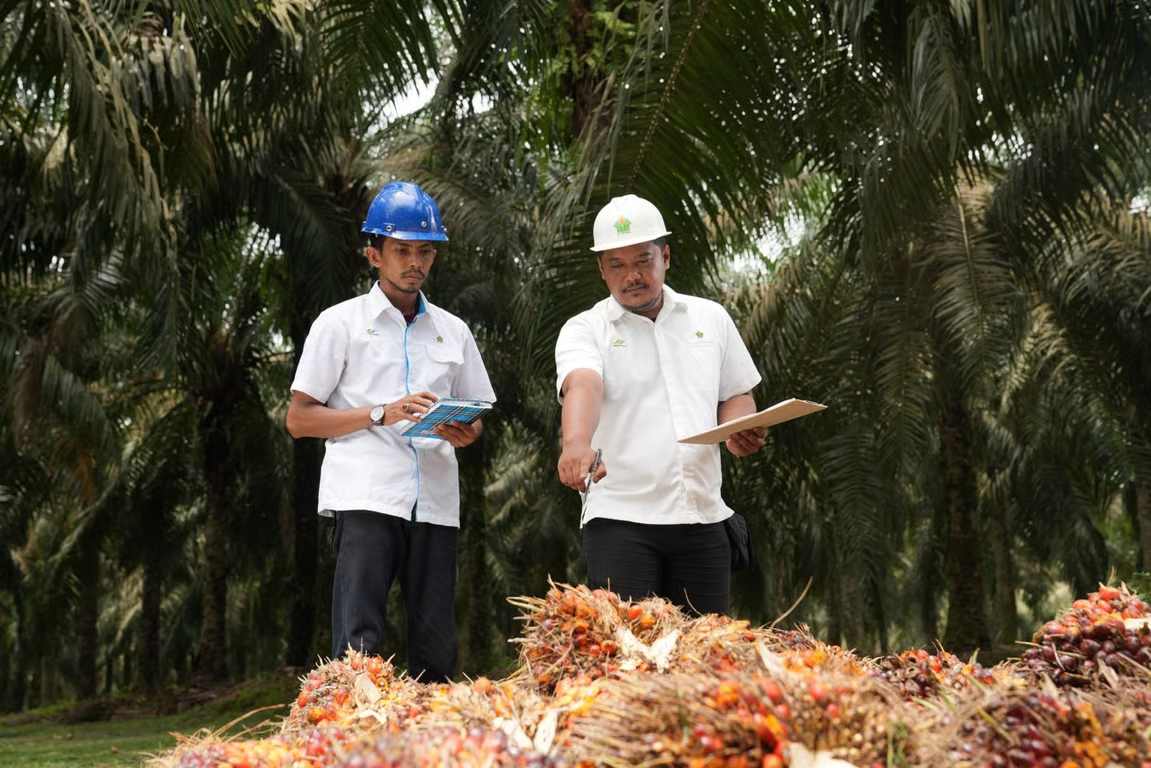 holding perkebunan nusantara perkuat daya saing sdm