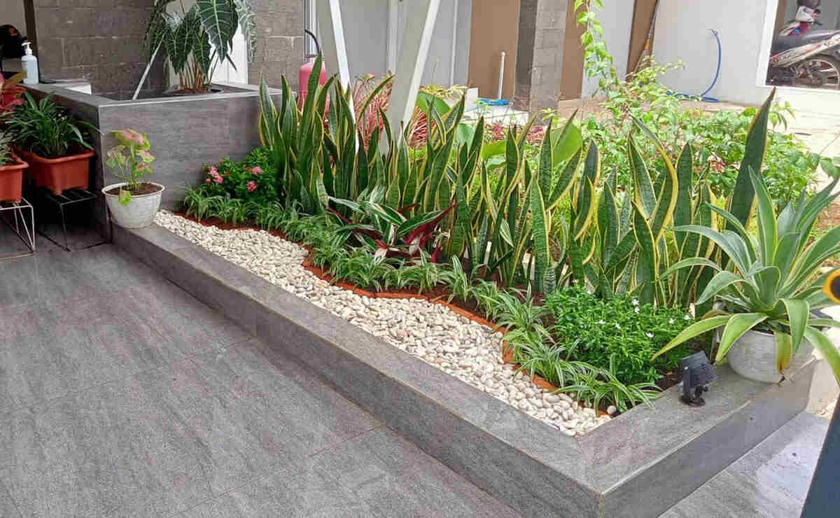 pagi ceria memperkuat layanan jasa taman dan kolam di area jabodetabek pagi ceria memperkuat layanan jasa taman dan kolam di area jabodetabek
