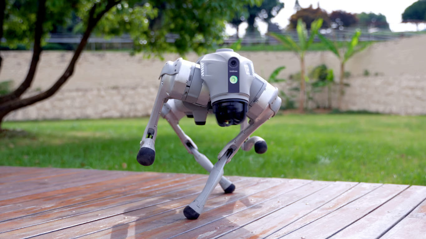 robot unitree go2 untuk edutainment dan interaksi publik robot unitree go2 untuk edutainment dan interaksi publik