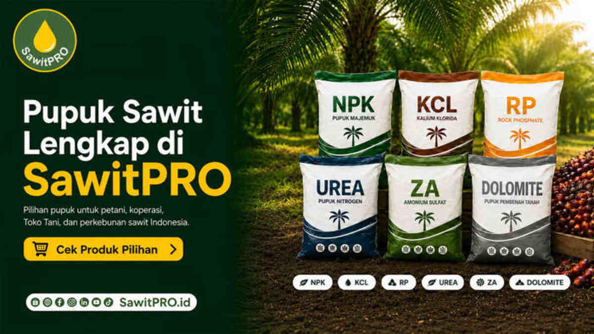 sawitpro hadirkan pilihan pupuk sawit lengkap untuk kebutuhan petani dan perkebunan sawitpro hadirkan pilihan pupuk sawit lengkap untuk kebutuhan petani dan perkebunan