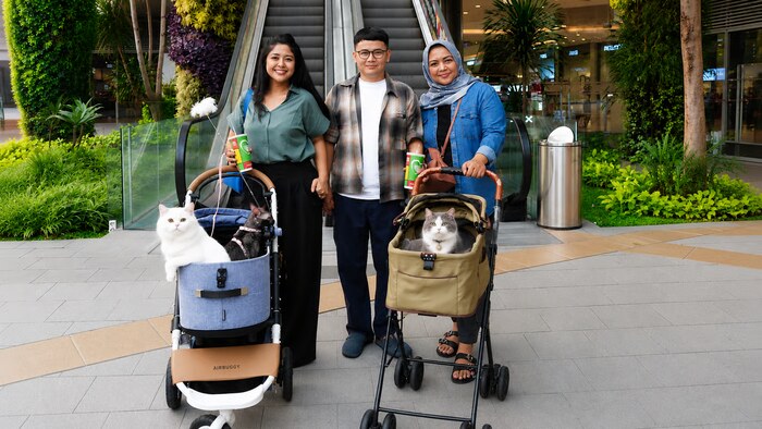 grand galaxy park, cat friendly mall (1)