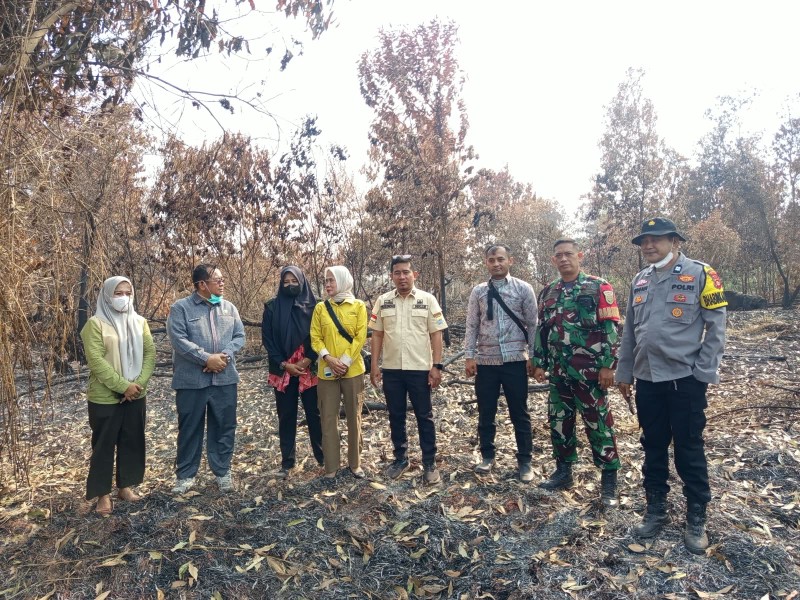 img 20260910 wa0014