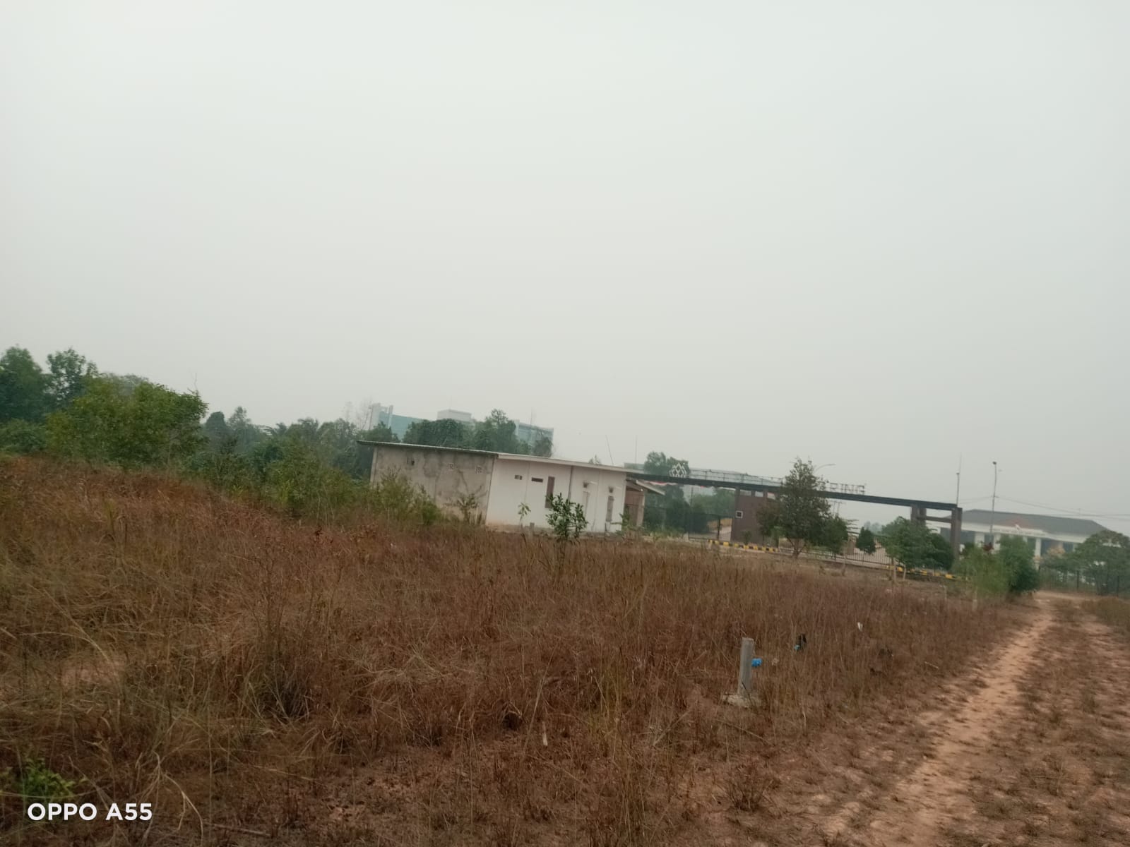 img 20261005 wa0013