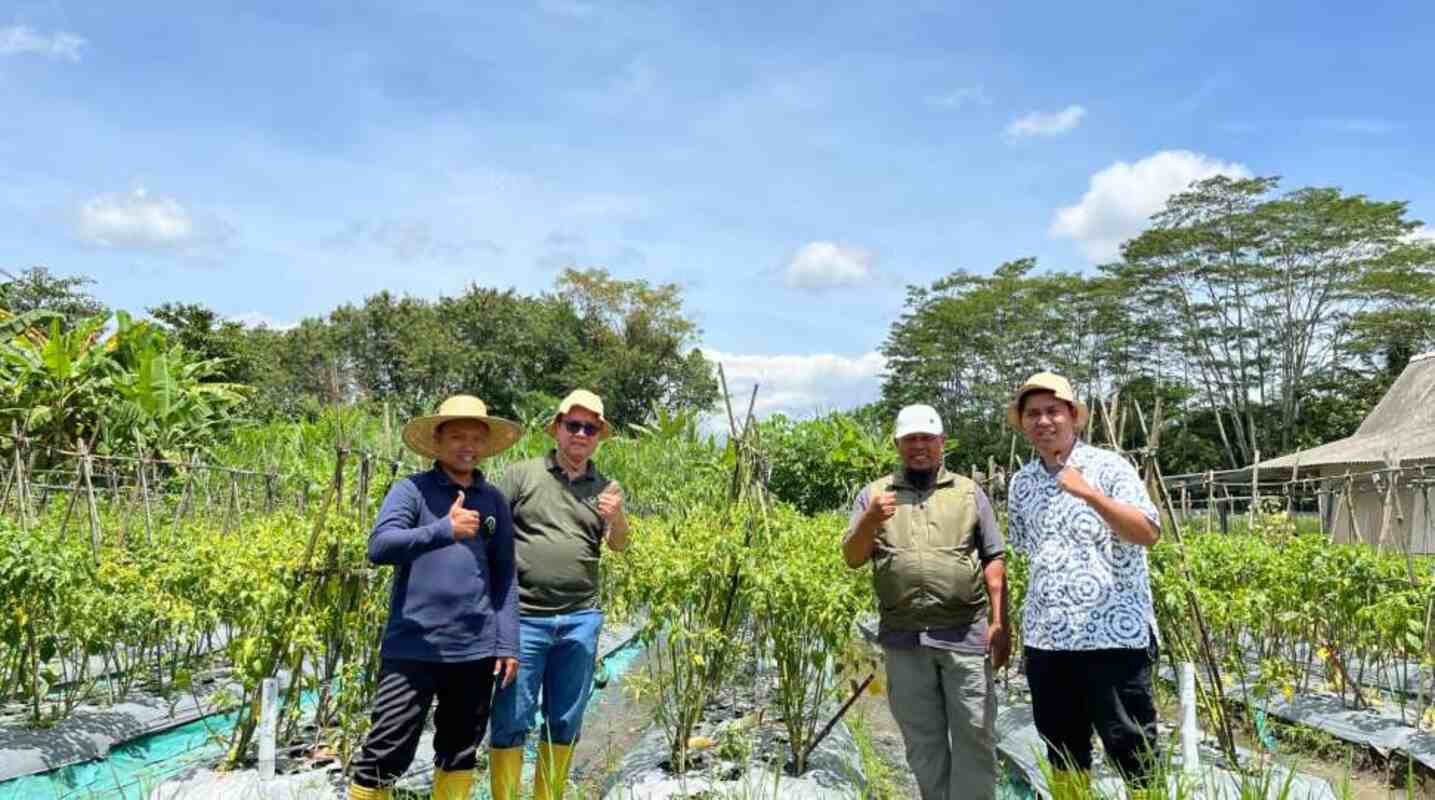 mahasiswa binus @bandung bangun bisnis pertanian ,jangkau 59 mitra di 9 kota