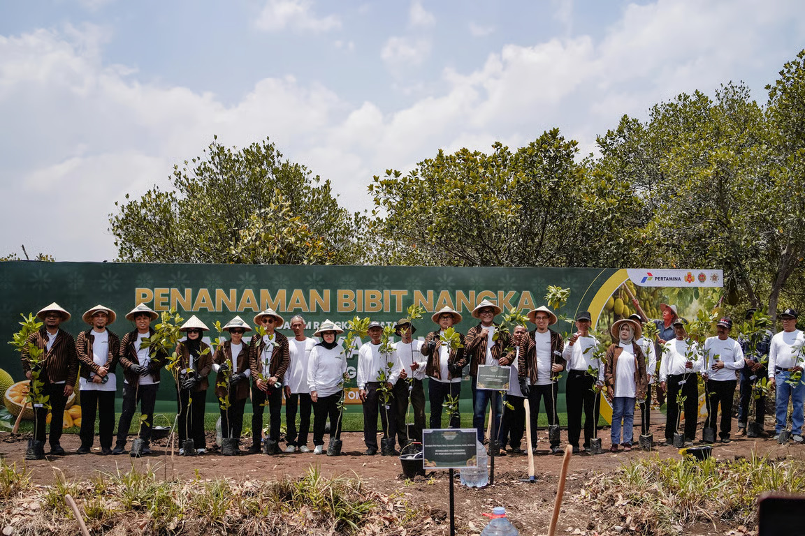 perkuat ketahanan pangan dan ekonomi desa, pertamina gelar panen raya nangka di hutan wanaboga gunungkidul