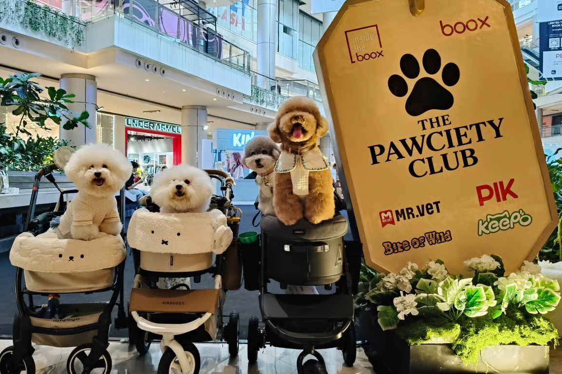 the pawciety club bawa dunia dog lovers ke pik avenue the pawciety club bawa dunia dog lovers ke pik avenue